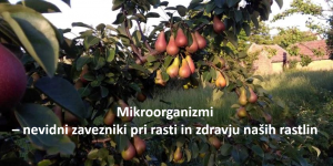 Koristni efektivni mikroorganizmi v vrtnarstvu, sadjarstvu in čebelarstvu @ Brezovska Gora | Krško | Slovenija