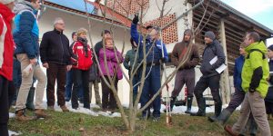 Tečaj obrezovanja sadnih dreves @ Sedež Zavoda Svibna | Krško | Slovenija