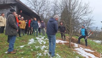 Nedeljska sadjarska delavnica v Kobilah